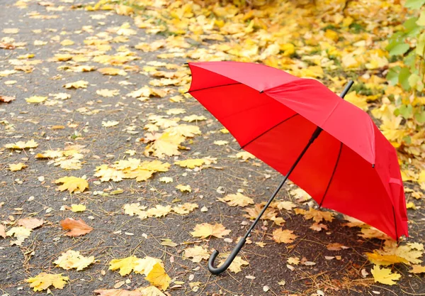 Heller Regenschirm Auf Der Herbststraße — Stockfoto
