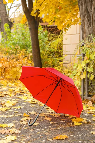 Světlý Deštník Podzimní Ulici — Stock fotografie