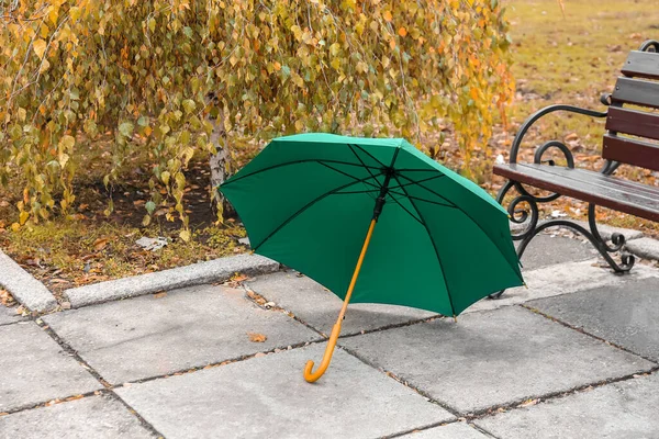公園のベンチ近くの明るい傘 — ストック写真