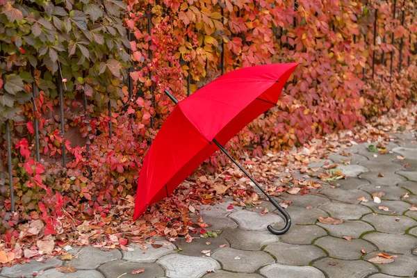 Stilvoller Heller Regenschirm Freien — Stockfoto