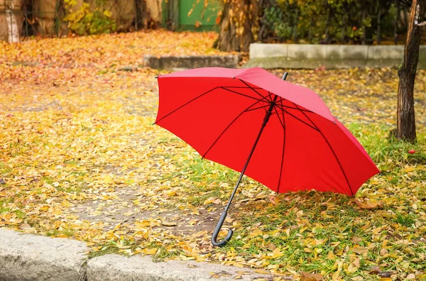公園でスタイリッシュな明るい傘 — ストック写真