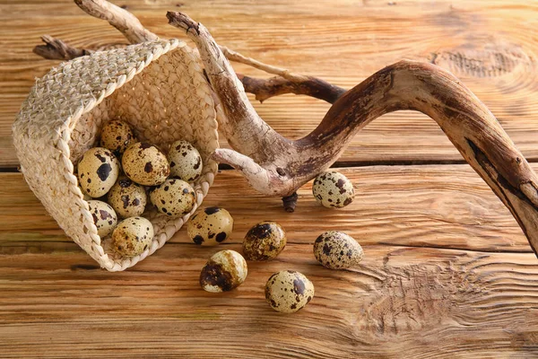 Overturned Basket Fresh Quail Eggs Wooden Table — Stock Photo, Image