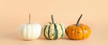 Bej arkaplanda olgun balkabakları