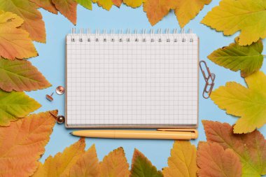 Mavi arkaplanda defter, kalem ve sonbahar yaprakları