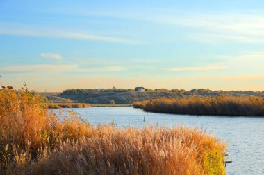 Gün batımında altın kamışlı güzel nehir manzarası