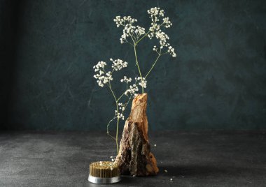 Kenzan için ikebana, çigila çiçekli ve ağaç kabuklu koyu arkaplan