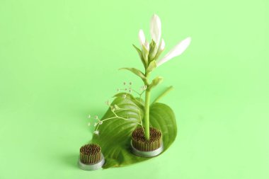 Yeşil arka planda güzel ikebana 'lı Kenzanlar