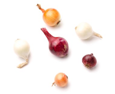 Beyaz zemin üzerine soğan farklı türleri