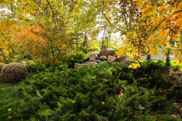 Alpine Slide Evergreen Bushes Autumn Park Sunny Day — Stock Photo, Image