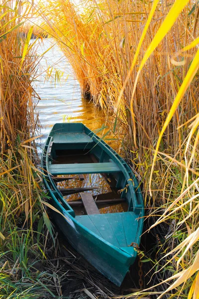 Деревянная Лодка Тростнике Возле Реки Солнечный День — стоковое фото