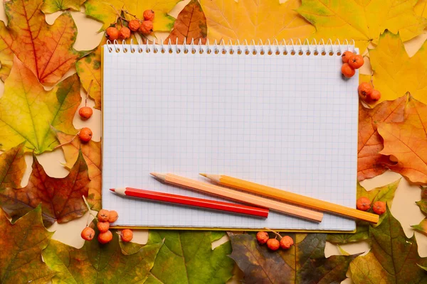 Güzel sonbahar yapraklarında defter ve kalemler.