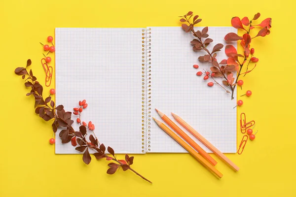 黄色の背景に開いたノート 木の枝 — ストック写真