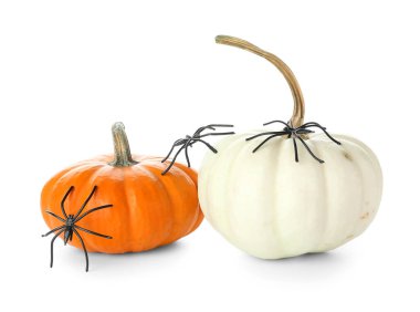 Beyaz arka planda örümcekler olan Cadılar Bayramı balkabakları