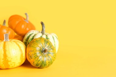 Cadılar Bayramı partisi için bir sürü farklı balkabağı.