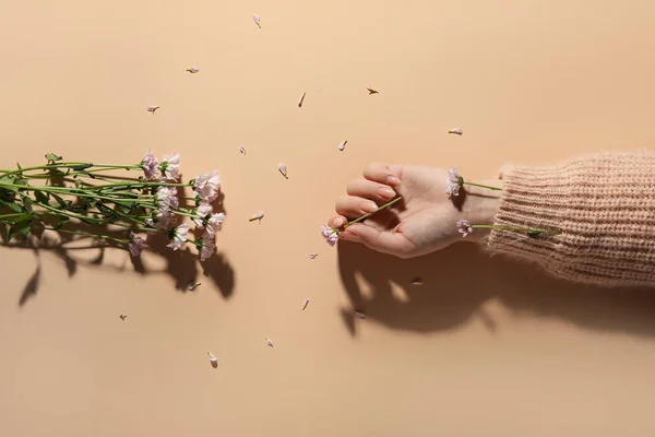 Női Kéz Gyönyörű Virágok Bézs Háttér — Stock Fotó