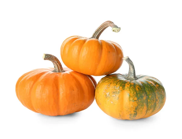 Ripe Halloween Pumpkins White Background — Stock Photo, Image