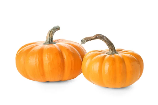 Ripe Halloween Pumpkins White Background — Stock Photo, Image