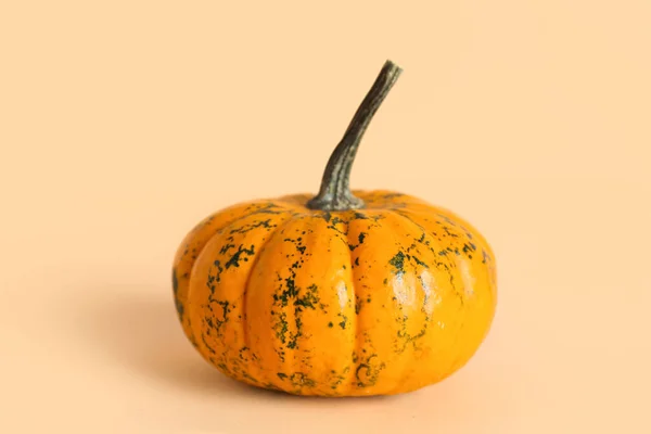 Ώριμη Κολοκύθα Halloween Χρώμα Φόντο — Φωτογραφία Αρχείου