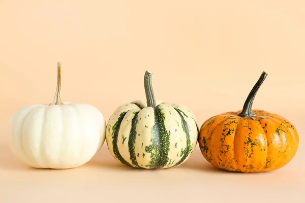 Ripe Halloween Pumpkins Color Background — Stock Photo, Image