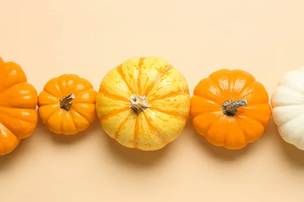 Ripe Pumpkins Halloween Party Color Background — Stock Photo, Image