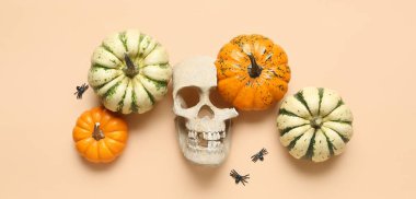 Bej arka planda balkabakları ve insan kafatası. Cadılar Bayramı