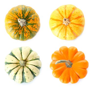 Beyaz arka planda taze balkabağı koleksiyonu, üst görünüm