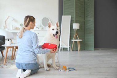 Beyaz köpeği ve ilk yardım çantası olan bir kadın.
