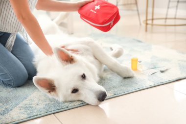Evde ilk yardım çantası ve beyaz köpeği olan bir kadın.