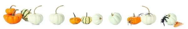 Collage Zucche Autunnali Con Ragni Halloween Sfondo Bianco — Foto Stock