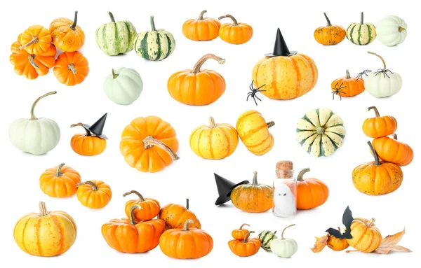 Kolekce Podzimních Dýní Halloweenskou Výzdobou Bílém Pozadí — Stock fotografie
