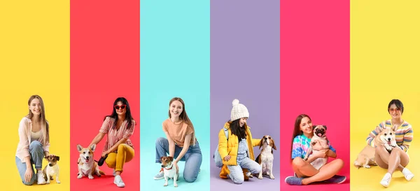 Set Von Frauen Und Mädchen Mit Hunden Auf Buntem Hintergrund — Stockfoto