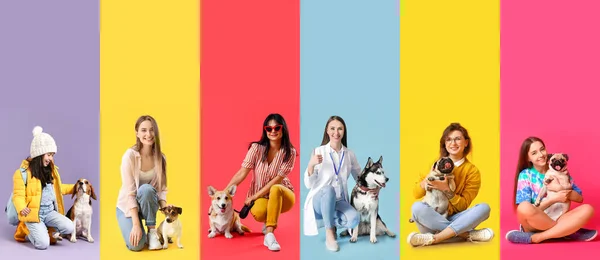 Conjunto Pessoas Com Cães Bonitos Fundo Colorido — Fotografia de Stock