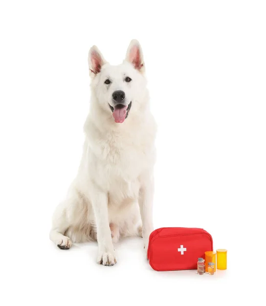 可愛いです羊飼い犬と応急処置キット上の白い背景 — ストック写真