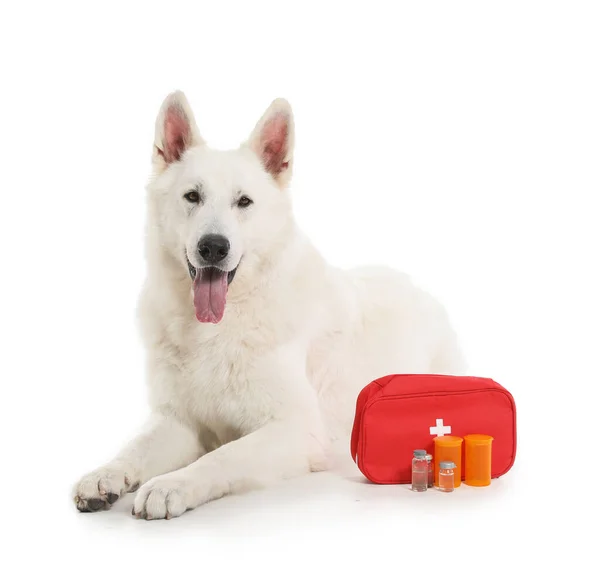 可愛いです羊飼い犬と応急処置キット上の白い背景 — ストック写真