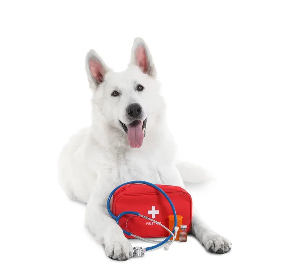 Cute Shepherd Dog First Aid Kit White Background — Stock Photo, Image