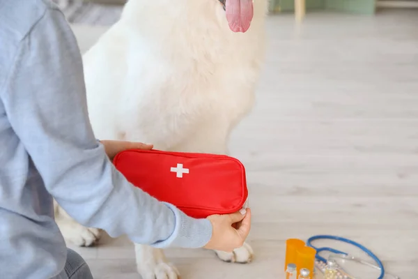 Woman with her white dog and first aid kit at home, closeup