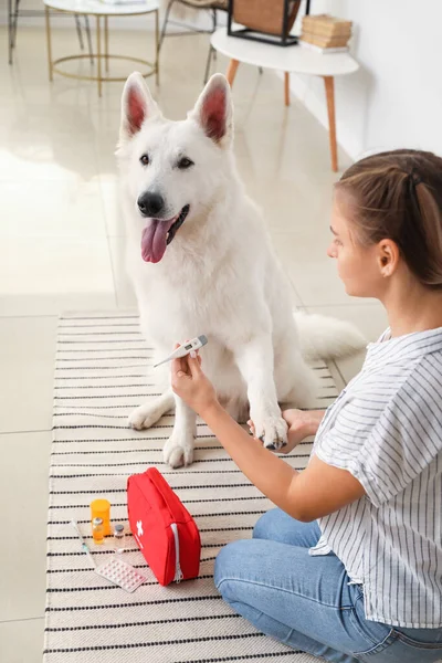 Mulher Com Termômetro Seu Cão Branco Casa — Fotografia de Stock