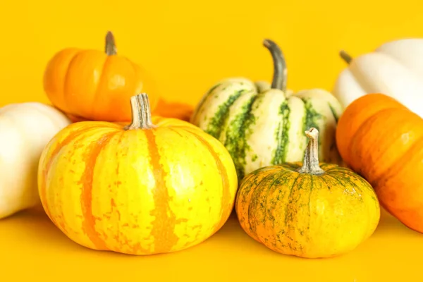 Heap Different Pumpkins Halloween Party Color Background Closeup — Stock Photo, Image