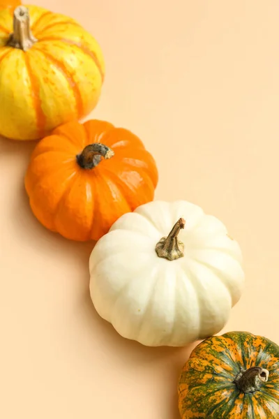 Ripe Pumpkins Halloween Party Color Background Closeup — Stock Photo, Image