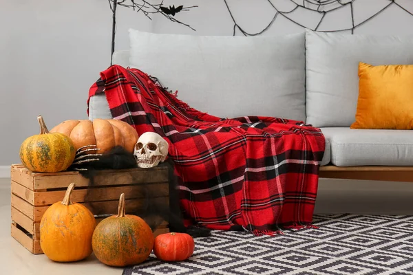 Grey Sofa Plaid Living Room Decorated Halloween — Stock Photo, Image