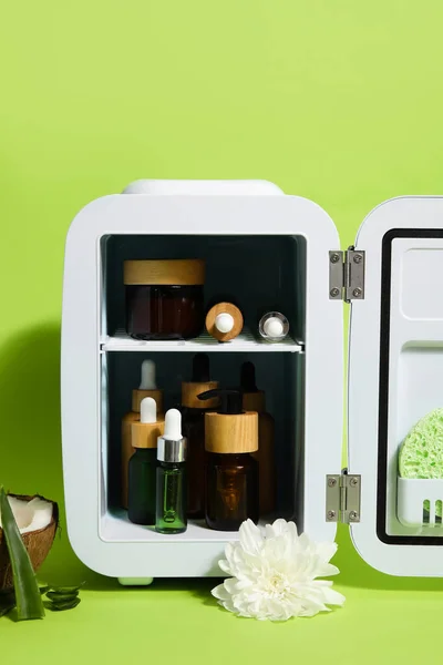 Small refrigerator with natural cosmetics, coconut, aloe leaves and flower on green background