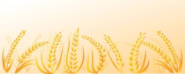 Bej arka planda birçok buğday dikenleri