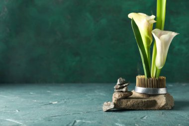 Kenzan güzel ikebana ve yeşil arka planda kayalar