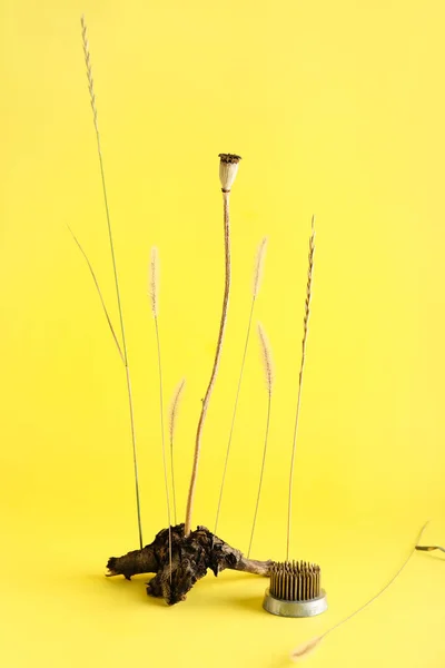 Kenzan Com Belo Ikebana Casca Árvore Fundo Amarelo — Fotografia de Stock