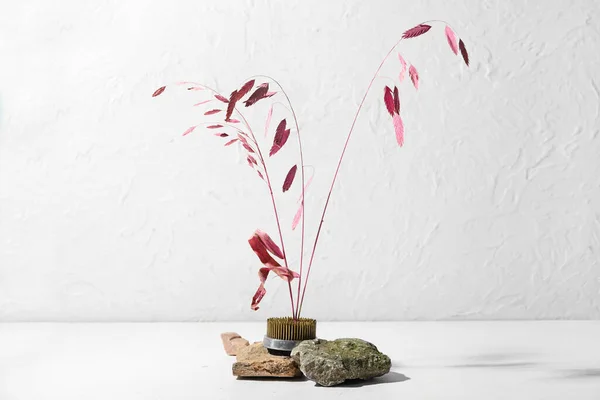 Kenzan Güzel Ikebana Beyaz Arka Planda Kayalar — Stok fotoğraf