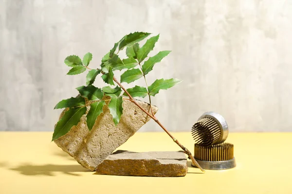 Kenzans Voor Ikebana Met Plant Tak Rotsen Tafel Buurt Van — Stockfoto
