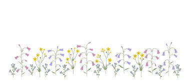 Beyaz arka plan üzerinde güzel çiçek açan çiçekler