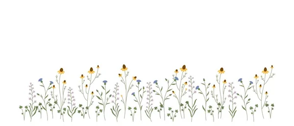 白色背景上美丽的草甸花 — 图库矢量图片