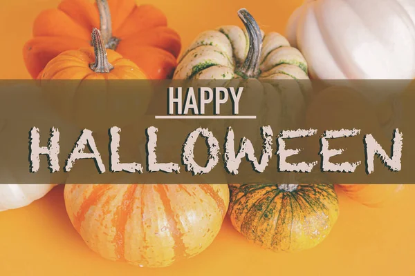 Diferentes Calabazas Texto Happy Halloween Sobre Fondo Naranja —  Fotos de Stock