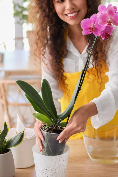 Jovem Mulher Cuidando Suas Flores Orquídea Casa — Fotografia de Stock